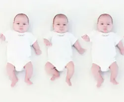 Photo bébés clonés