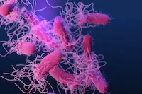Neurotransmetteurs